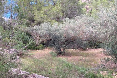 Landejendom i El Perello, Tarragona, El Perello - € 56.000 | Ref: Finca Bitem Joa - foto 15